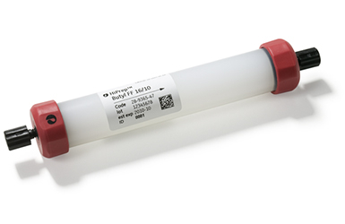 HiPrep Butyl FF